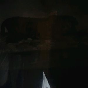 Meet your Posher, Douglass